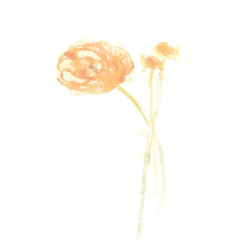 Bouquet Blush IV - Wrapped Canvas Print, 30cm H x 20cm W x 3.8cm D