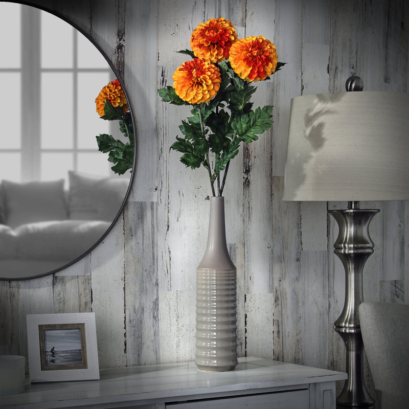 Tige de dahlia, Orange