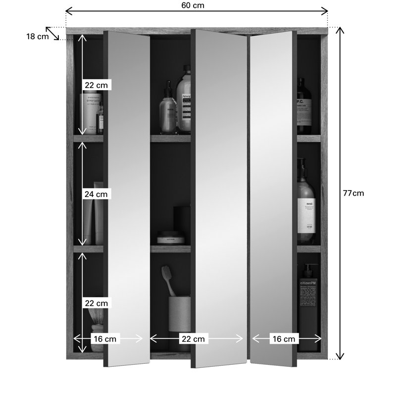 Hanieh 770cm H x 600cm W Wall cabinet Mirrored cabinet