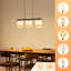 3 - Light Stainless Steel Caged Pendant