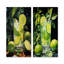 Ensemble de 2 décorations murales Caipirinha-102570314-102570315