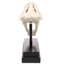 Saber-Toothed Tiger Skull Artifact Figurine