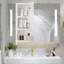 Surface Framed Mirrored Bathroom Cabinets with Mirror Adjustable Shelves