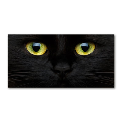 Cat's Eyes - Wrapped Canvas Print