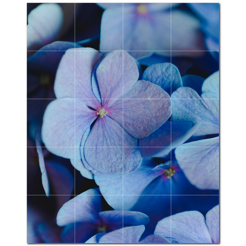 Fleurs photo 8 x 8