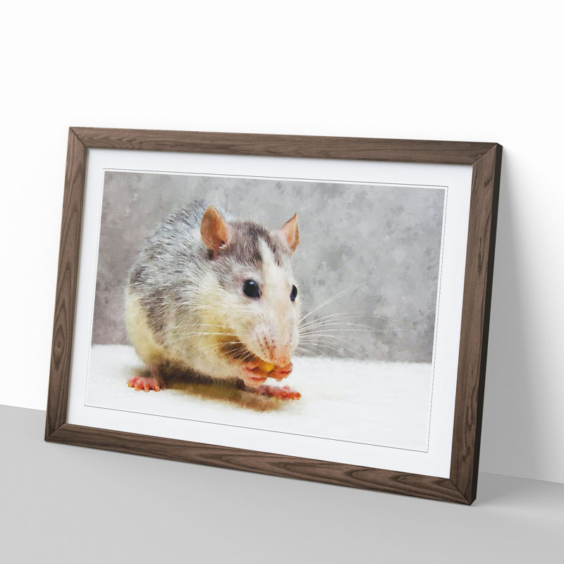 Rat - Framed Print, 48cm H x 65cm W x 2cm D, Walnut Framed