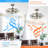 Velarde 27'' Ceiling Fan with LED Lights-33165746
