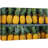 Fruits " Tropical Island Vibrant Bright Pineapples "-98161007