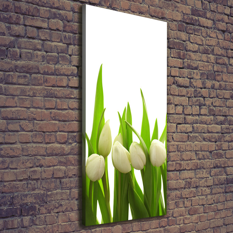 White Tulips - Wrapped Canvas Print