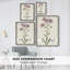 Mauve Garden Flowers III, reproduction encadrée - bois massif-1242811608