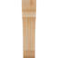 Attelle de genou olympique-31229518-29309934-31230592