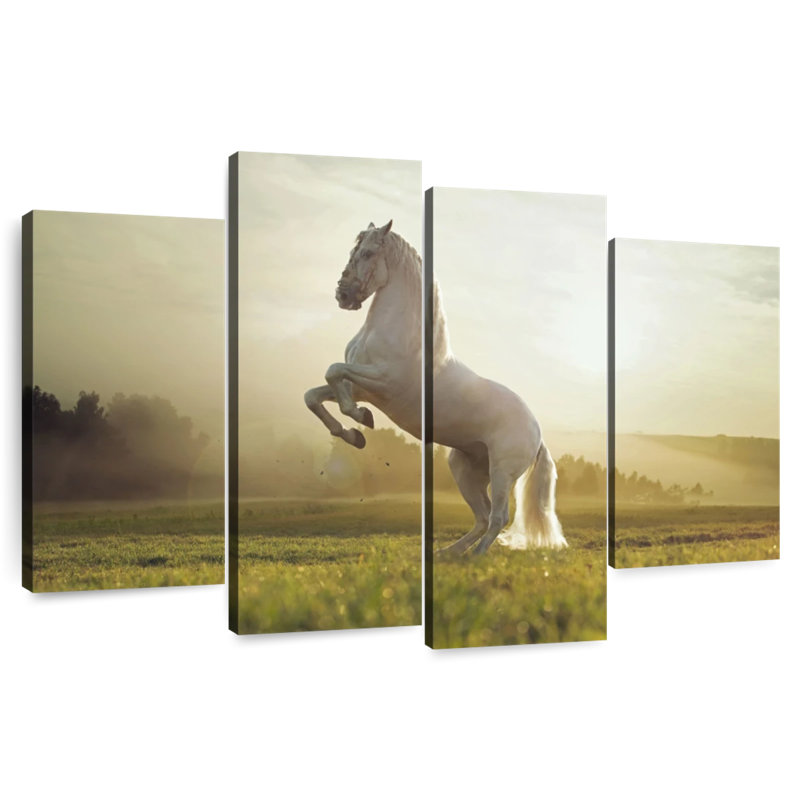 Regal White Horse