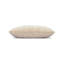 Comfort Lumbar Indoor/Outdoor Pillow Cover & Insert-98593784-98593788