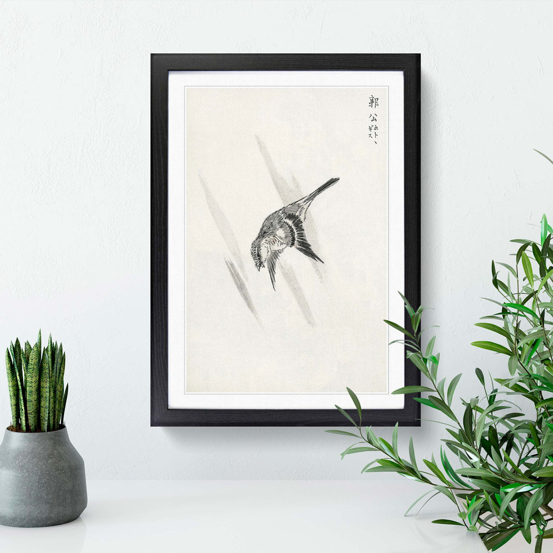 Japanese Cuckoo by Numata Kashu - Framed Print