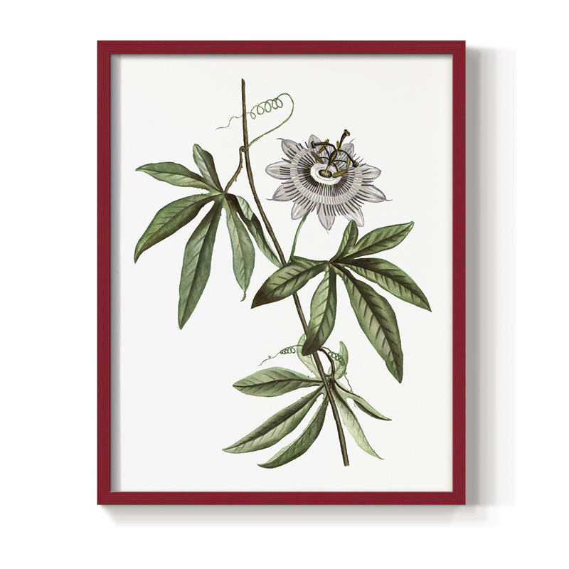 Tropical Botanical I, reproduction encadrée - bois massif, H 11 po x l 9 po, Rouge