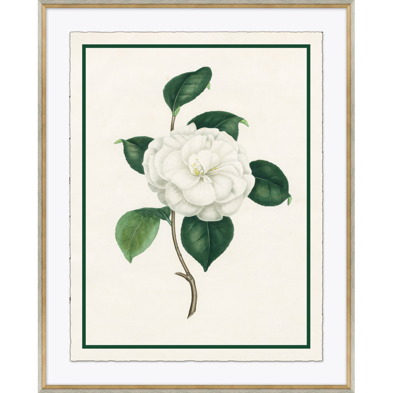 Flora III Giclee Print