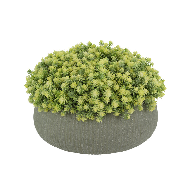 Sedum Arrangement in Fiberstone Pot, 10" H x 15" W x 15" D