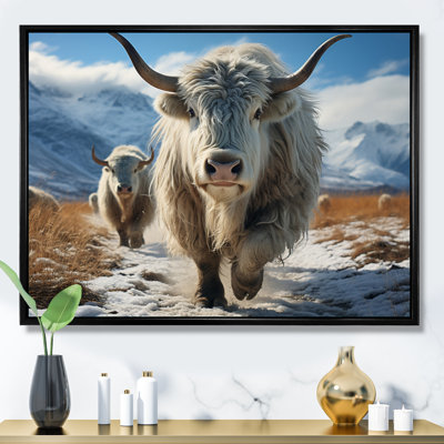Yaks majestueux en hiver