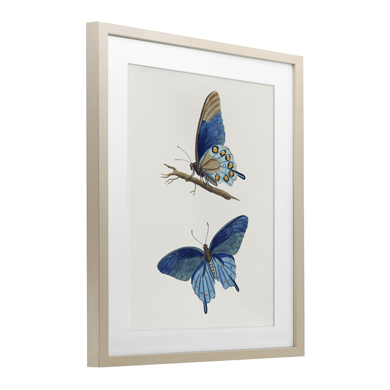 Paire de papillons bleus, reproduction sous verre, conception par Arlington Prints, H 16 po x l 13 po