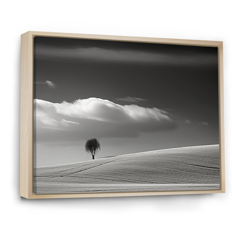 Paysage d'hiver photo III sur toile, Cadre naturel flottant, H 12 po x l 20 po x P 1 po