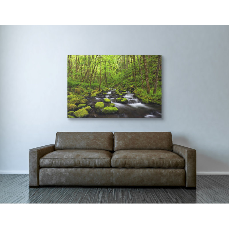 «Where the Green Grows» par Darren White, art mural sur toile, H 40 po x l 60 po x P 1,5 po