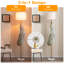 Beehler Freestanding 5 - Hook Coat Rack