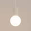 Bernis 1 - Light Brushed Nickel Pendant-181324293