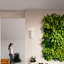 Ceramic Up & Downlight