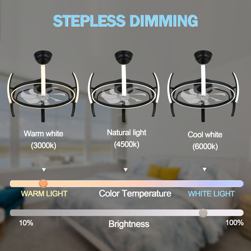 Ludovico 24" DIY Shape Adjustable Ceiling Fan with Lights Remote and APP Control, Black