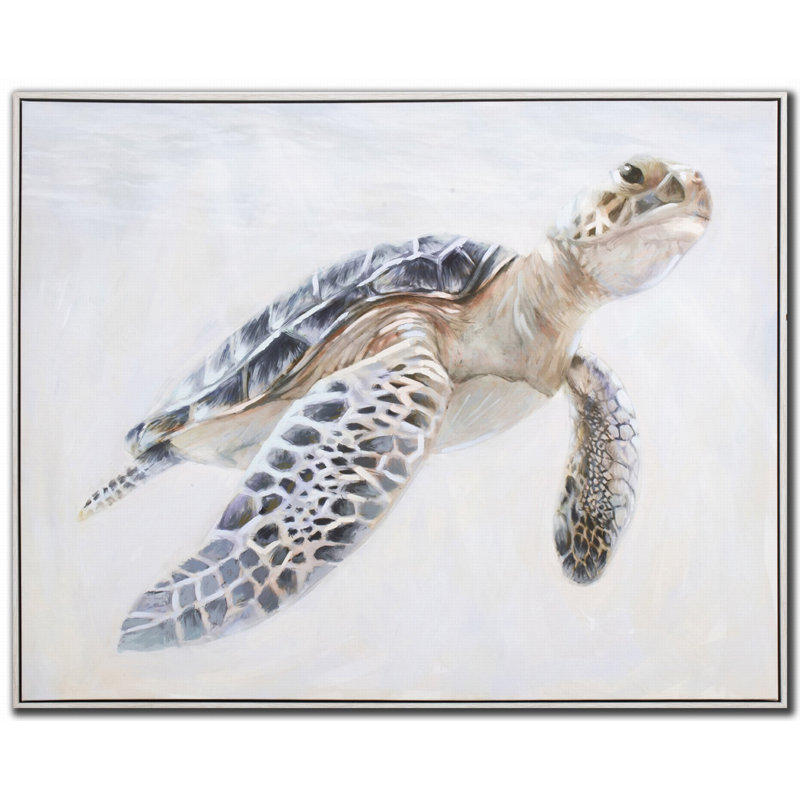 Tranquil Turtle Canvas Wall Art