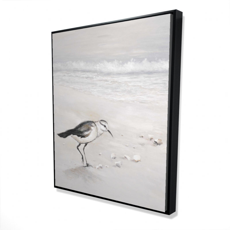 Semipalmated Sandpiper Canvas - White Framed Home Decor
