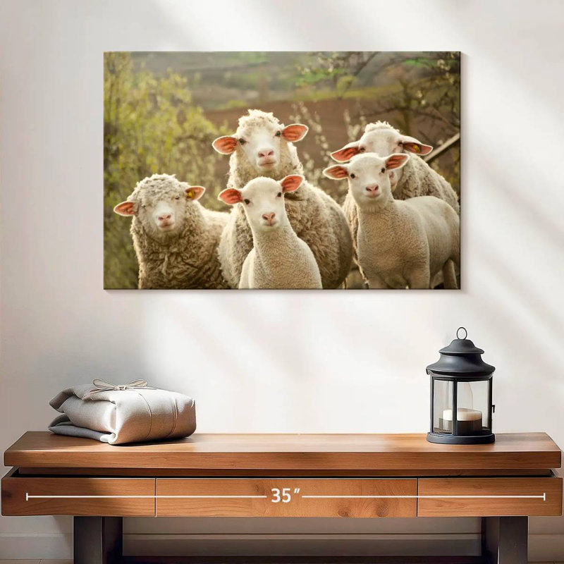 Stunned Sheep, 16" H x 24" W