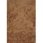 Wool Floral Area Rug