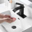Robinet de lavabo de salle de bain à poignée simple avec bonde noire