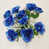 Royal BLue selected