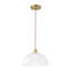 Luminaire suspendu en forme de dôme en verre 1 lumière-129891049