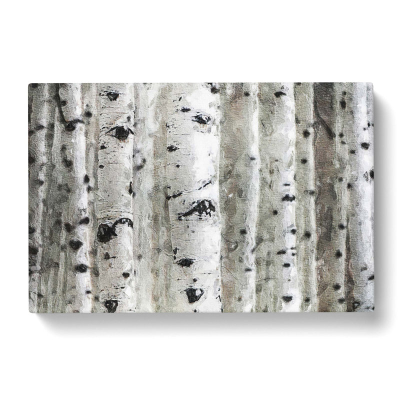 Silver Birch Tree Forest - Wrapped Canvas Painting Print, 35cm H x 50cm W x 3cm D