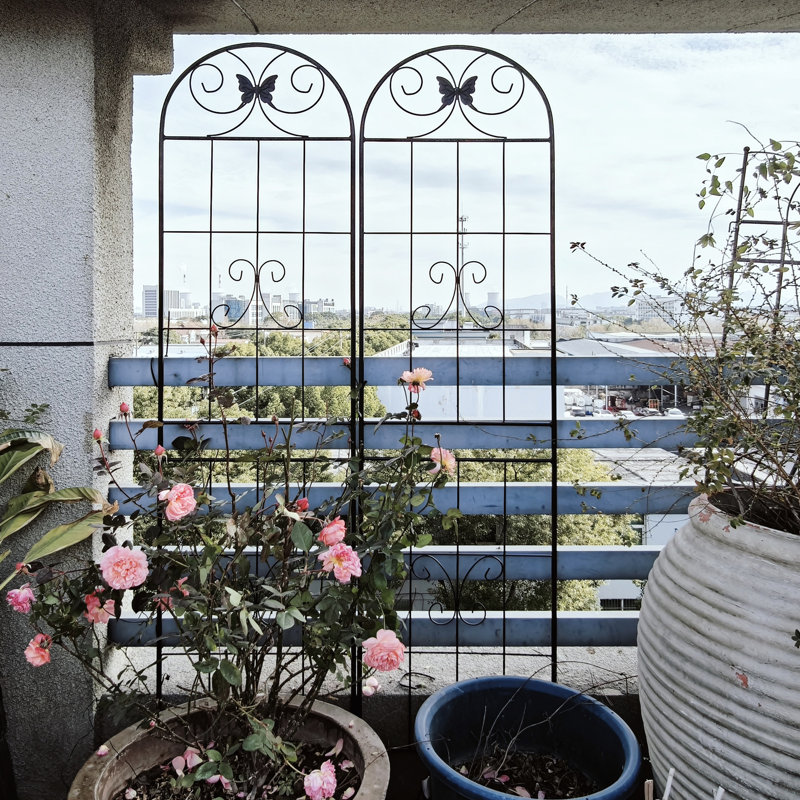 Ensemble de 2 treillis de jardin en métal 71 po x 19,7 po Premier, antirouille pour grimper des fleurs à l'extérieur, noir, procédure d'assemblage simple, avec revêtement galvanisé, paquet d'utilisation polyvalent 19,7 po, rouille - plante d'extérieur