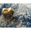 Tapis abstrait bleu marine / sauge Brantlie-23394534