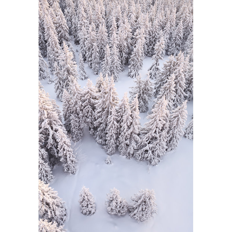 Winter Forest by Borchee - Wrapped Canvas Print, 76cm H x 51cm W x 3.8cm D