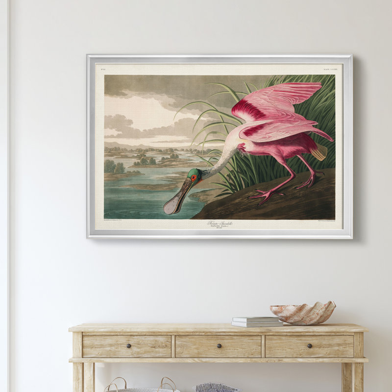 Roseat Spoonbill - reproduction de cadre photo sur toile, Argent, H 18,5 po x l 24,5 po x P 1,5 po