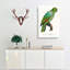 Southern Mealy Amazon Parrot by F. Levaillant - Wrapped Canvas-55318856
