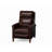 Aniv Recliner