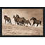 «Kick Dust» par Lisa Dearing - reproduction de photo-863213784-863213788