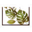 Plants & Flowers Wall Decor on Metal