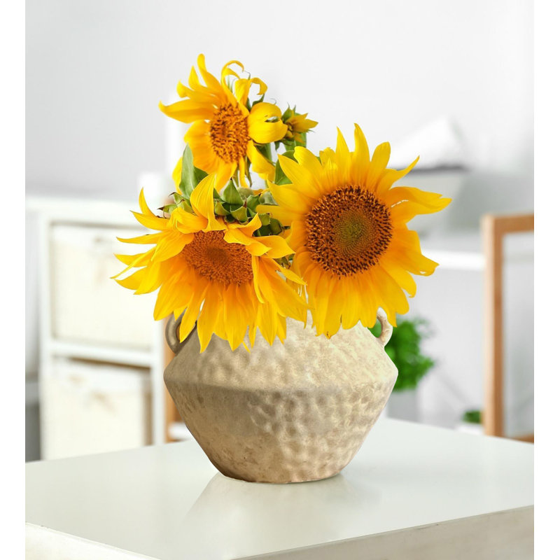 Vase en céramique rustique avec 2 poignées, Beige