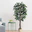 Faux ficus