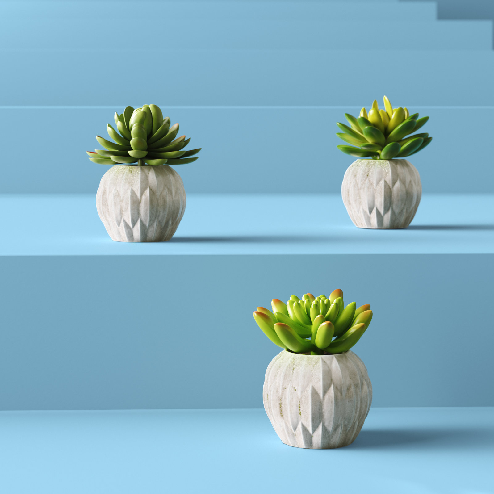 Hashtag Home 3.54'' Faux Succulent Plant in Pot & Reviews Wayfair