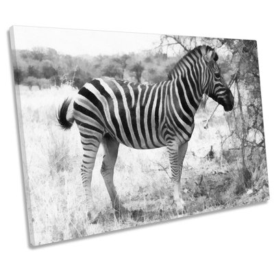 Zebra Animal Stripes - Wrapped Canvas Print