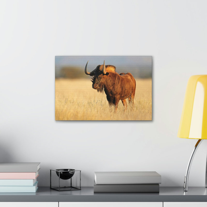 No Frame Print on Canvas, 30.48cm H x 45.72cm W